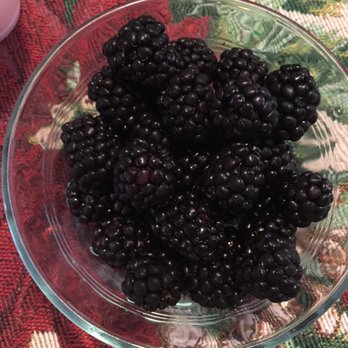 Mini Mansion - Berries! - Bed & Breakfast Near Me - Los Angeles, California Mini Mansion - Berries! - Bed & Breakfast Near Me - Los Angeles, California