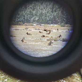 Cub Lake Trail - Harem of Elk - Hiking Near Me - Estes Park, Colorado Cub Lake Trail - Harem of Elk - Hiking Near Me - Estes Park, Colorado