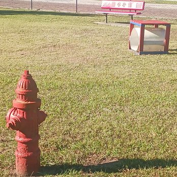 Dade City Dog Park - Fire hydrant in a few agility items and a bench - Dog Parks Near Me - Dade City, Florida