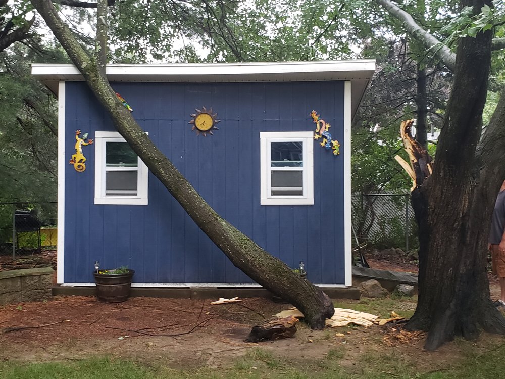 Hirko's Tree Service - tree service in Nashua, NH