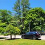 Photo of Alejandro's Tree Services