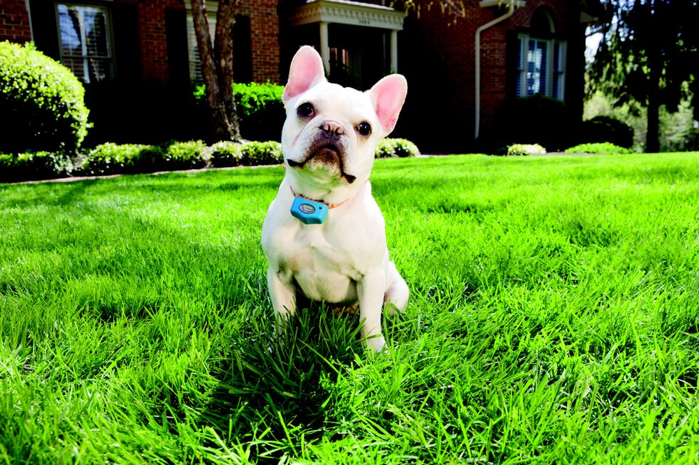 INVISIBLE FENCING OF OKLAHOMA Updated August 2024 420 NW 70th St