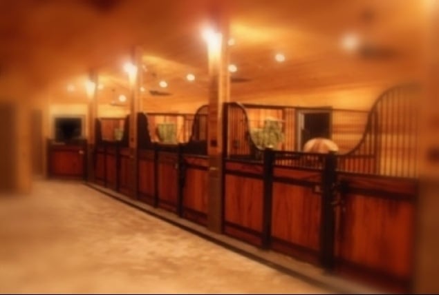 Westwood Farms - equestrian in Orlando, FL