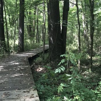 Natchez Trace Parkway - Hiking - Parks Near Me - Tupelo, Mississippi Natchez Trace Parkway - Hiking - Parks Near Me - Tupelo, Mississippi