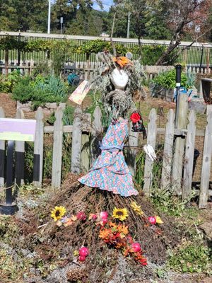 Cape Fear Botanical Garden by null