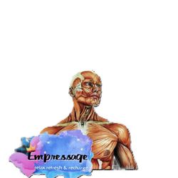 Empressage