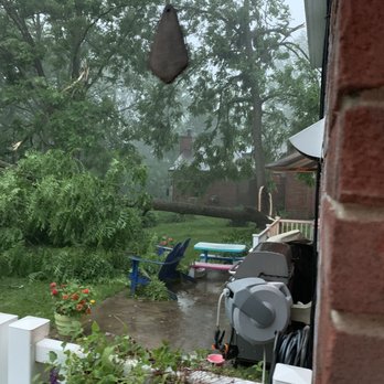 Peru Tree Service - Tree Services Near Me - West Chester, Ohio Peru Tree Service - Tree Services Near Me - West Chester, Ohio