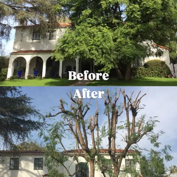 Enrique’s Tree Service - Tree Services Near Me Enrique’s Tree Service - Tree Services Near Me