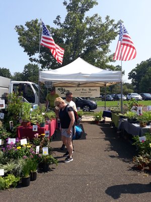 Lansdale Farmers' Market - outdoor market by null