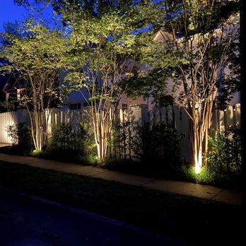 Middlescapes - a row of trees with lights on - Landscaping Near Me - Rancho Cordova, California Middlescapes - a row of trees with lights on - Landscaping Near Me - Rancho Cordova, California