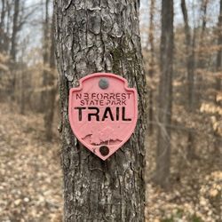 Nathan Bedford Forrest State Park