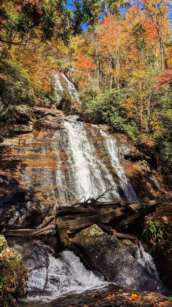 Anna Ruby Falls Logo
