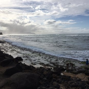 Laniakea Beach - Beautiful day - Beaches Near Me - Haleiwa, Hawaii Laniakea Beach - Beautiful day - Beaches Near Me - Haleiwa, Hawaii