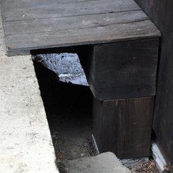 Contoocook Covered Bridge - River below