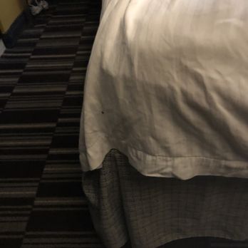 Microtel Inn & Suites by Wyndham Riverside - Hotels Near Me - Kettering, Ohio