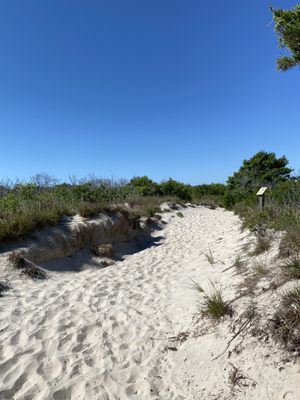 Cape May National Wildlife Refuge by null