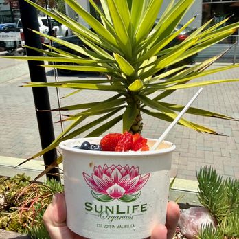 Sunlife Organics - Juice Bars & Smoothies Near Me - Malibu, California Sunlife Organics - Juice Bars & Smoothies Near Me - Malibu, California