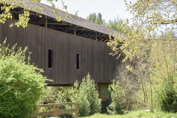 Felton Covered Bridge by null