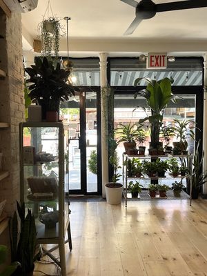 Clementine Bakery by null Clementine Bakery by null