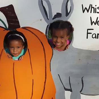 Whistling Well Farm - Fruits & Veggies Near Me - Hastings, Minnesota Whistling Well Farm - Fruits & Veggies Near Me - Hastings, Minnesota