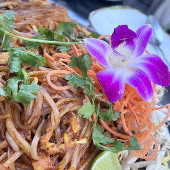 Aloy Thai Eatery-Capitol Hill - Chicken PAD THAI NOODLE was delicious. Huge portion. - Thai Near Me - Denver, Colorado