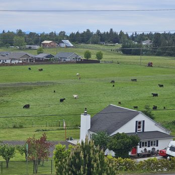 Holiday Inn Express & Suites Sequim - View from the rooftop patio - Hotels Near Me - Sequim, Washington Holiday Inn Express & Suites Sequim - View from the rooftop patio - Hotels Near Me - Sequim, Washington