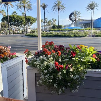 Bubba Gump Shrimp - Seafood Near Me - Long Beach, California Bubba Gump Shrimp - Seafood Near Me - Long Beach, California