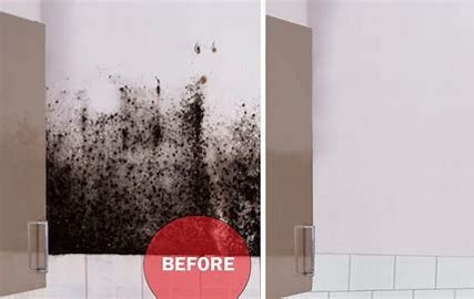 Pure Air Total Home Solutions - mold inspector in Smethport, PA