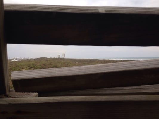 Andy Bowie County Park by null