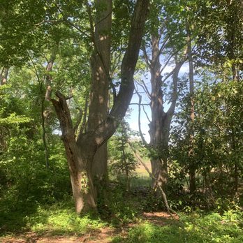 Bennetts Creek Park - Parks Near Me - Suffolk, Virginia