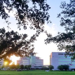Joint Center - Sugar Land - Joint venture