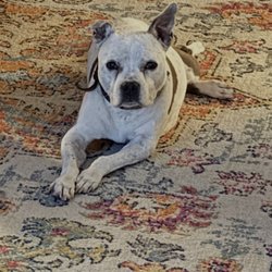 Sunset Canyon Veterinary Clinic