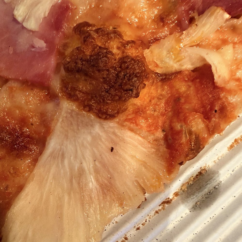 Gross Hawaiian pizza. Gross Hawaiian pizza.