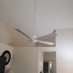 That Handyman Guy - Ceiling fan installed