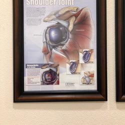 Premier Orthopedics of Fort Worth - The shoulder joint picture