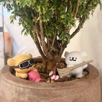 Ssum Coffee - Coffee & Tea Near Me - Anaheim, California Ssum Coffee - Coffee & Tea Near Me - Anaheim, California