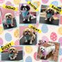 Amy’s Country Charm Pet Spa