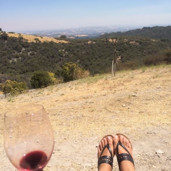 Calcareous Vineyard - View from stave chairs - Wine Tasting Room Near Me - Paso Robles, California