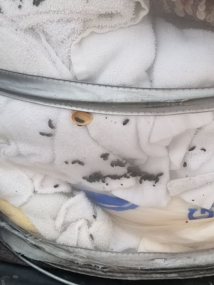 GREAT VALUE STORAGE 23 Photos 11702 Beechnut St, Houston, Texas