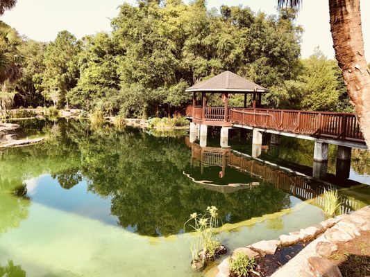 Devil's Den Prehistoric Spring and Campground by null