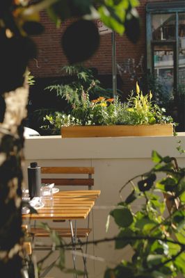 Osteria Radisa by null