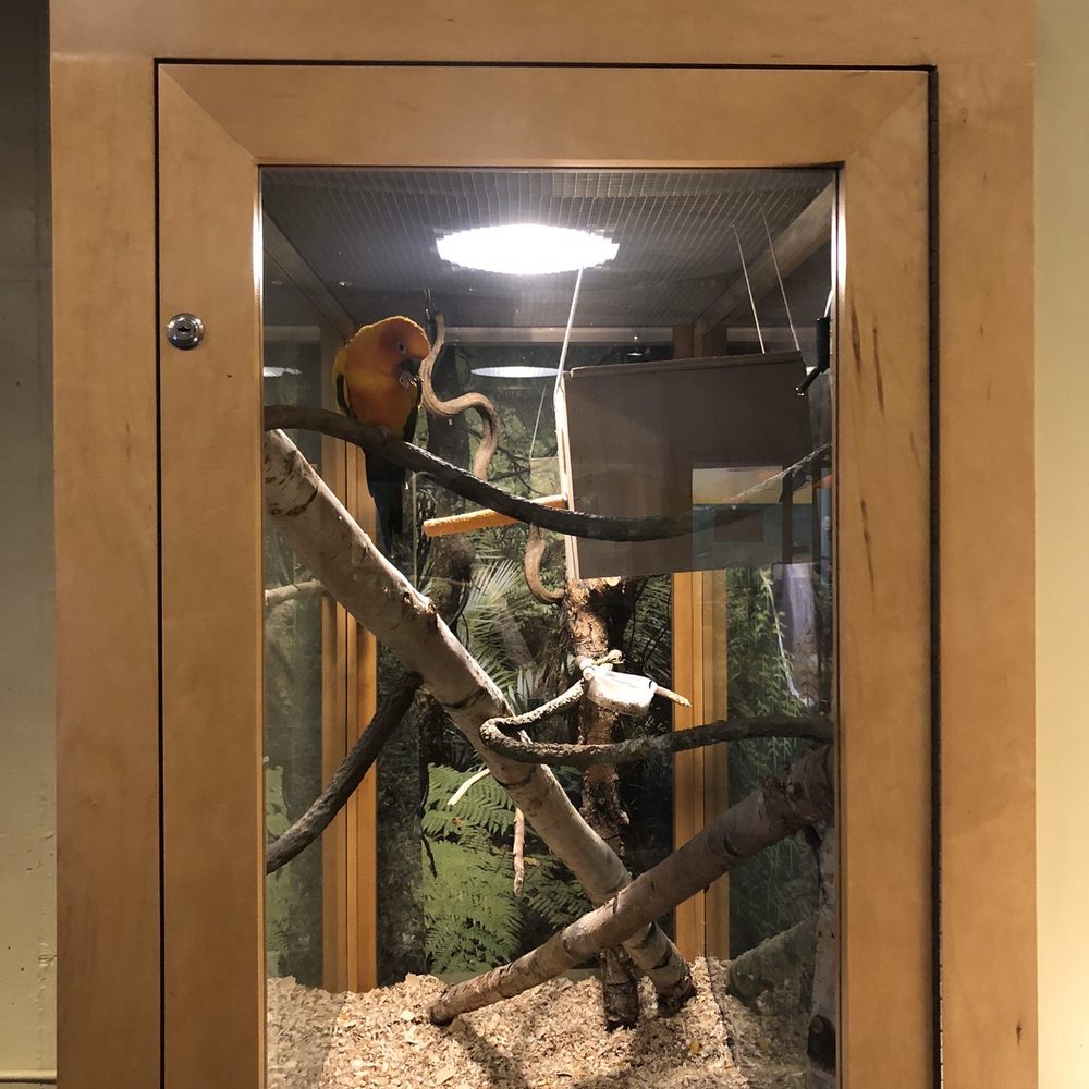 Brooklyn Children's Museum - Poor guy in his lonely cage with zero toys and fake leaves. - Children's Museums Near Me - Brooklyn, New York