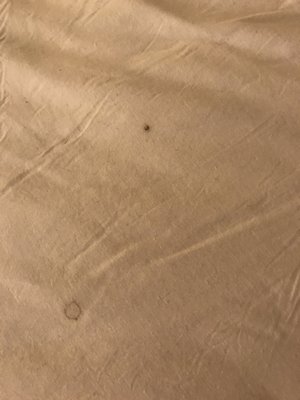 Bighorn Rentals by null