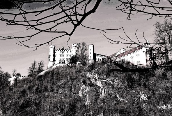Hohenschwangau Castle by null