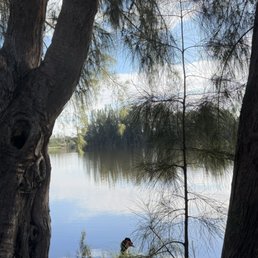 Lake View Lake View