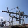 Container Terminal Tollerort