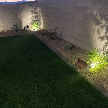 Absolute Paradise Landscaping - At night with LEDs - Artificial Turf Near Me Absolute Paradise Landscaping - At night with LEDs - Artificial Turf Near Me