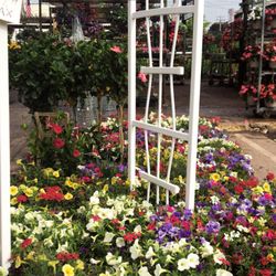 Better-Gro Garden Center