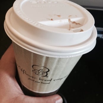 Wildflower - Nasty string or who knows ugh in my coffee! Disgusting! - Breakfast & Brunch Near Me - Phoenix, Arizona Wildflower - Nasty string or who knows ugh in my coffee! Disgusting! - Breakfast & Brunch Near Me - Phoenix, Arizona