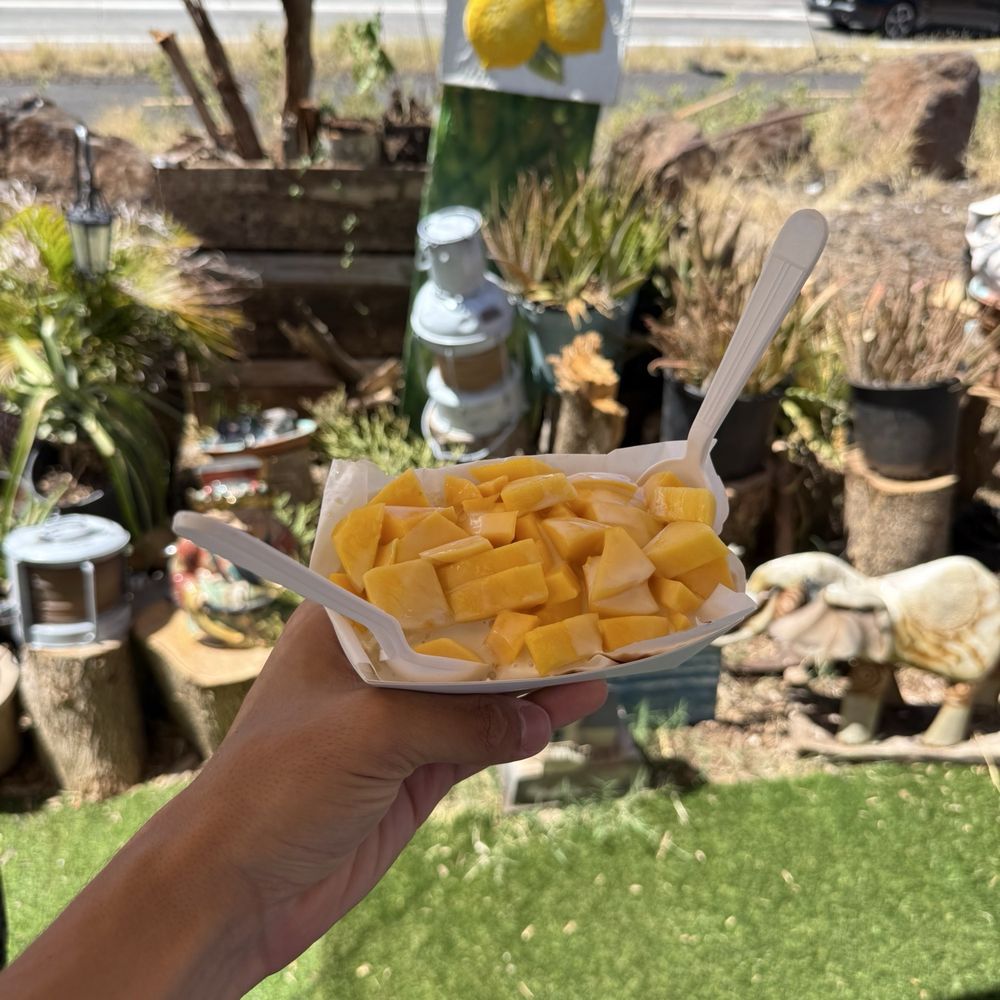 Maui Fruit Truck - Mango sticky rice - Food Trucks Near Me - Lahaina, Hawaii Maui Fruit Truck - Mango sticky rice - Food Trucks Near Me - Lahaina, Hawaii